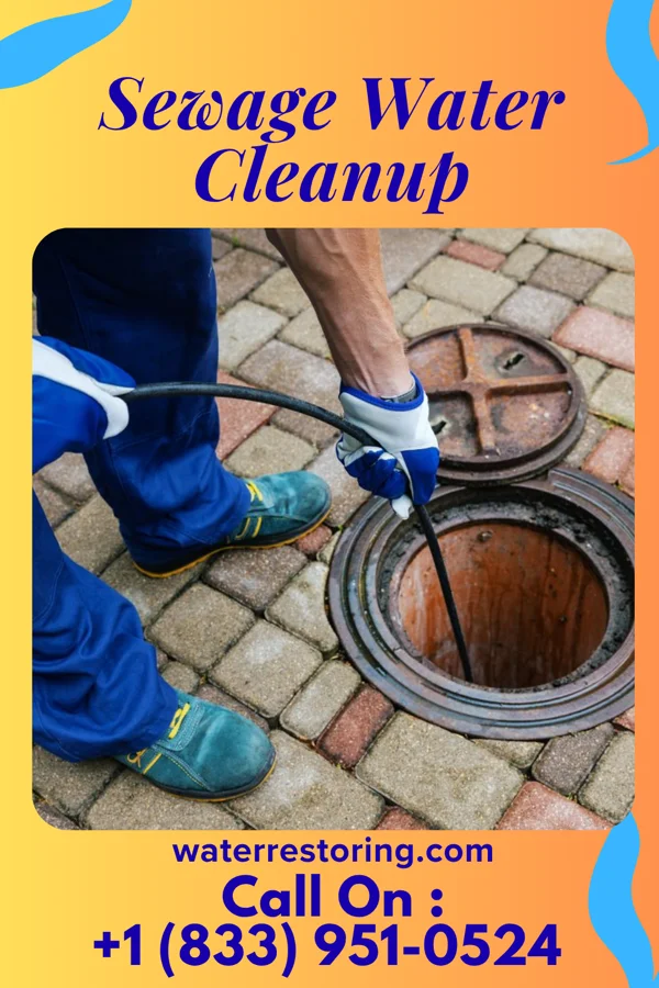 Sewage Water Cleanup in Allerton, IL